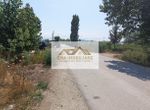 Photo 246375208