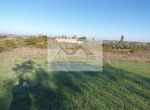 Foto 247193500