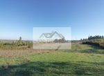 Foto 247193503