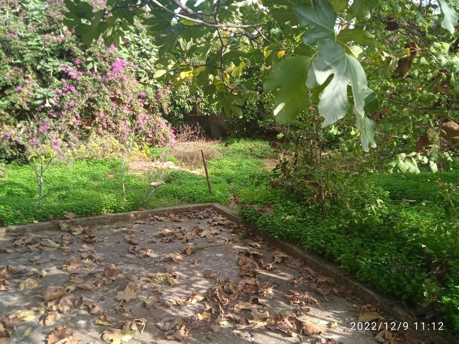 Photo 4