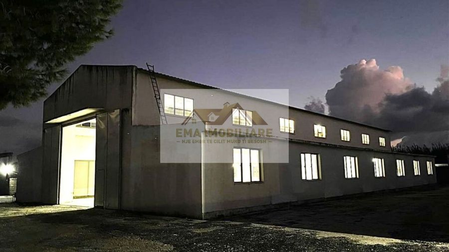 Photo 247309015