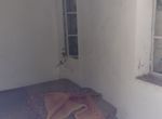 Photo 247440592