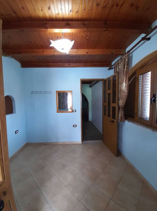Photo 247576036