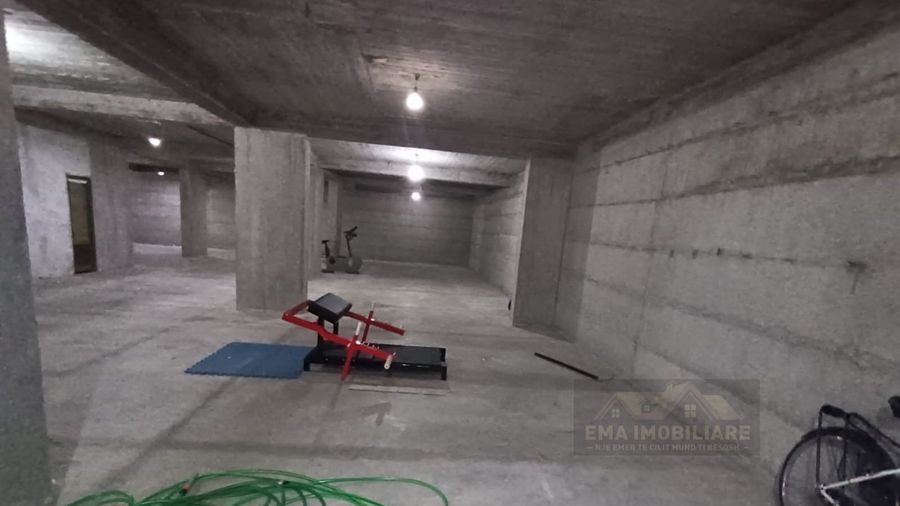 Photo 247617037