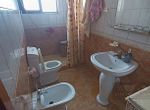 Photo 247647169