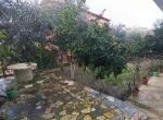 Photo 247647181