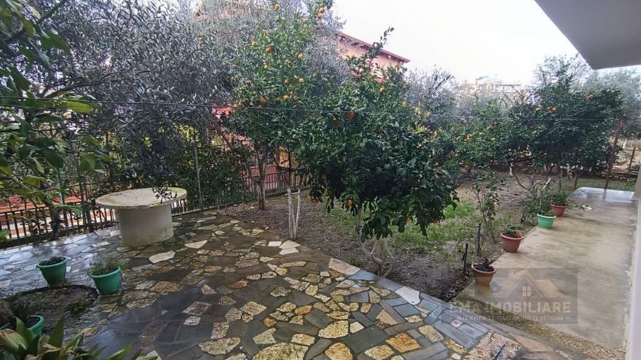 Photo 247647181