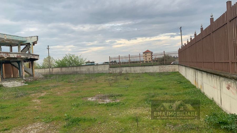Photo 247783285