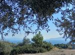 Photo 248233738