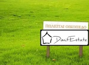 Plot Paroikia