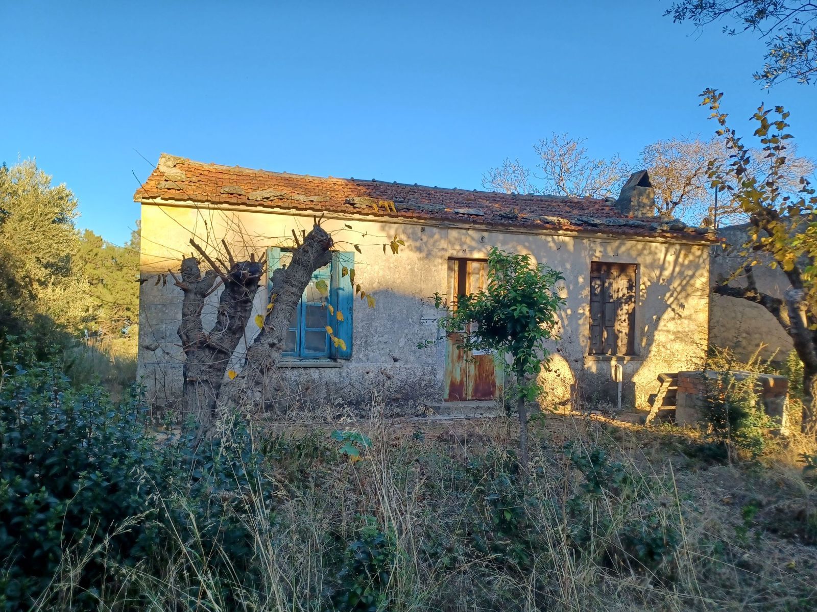 Land plot for Sale Listing 13462500 Tospitimou.gr