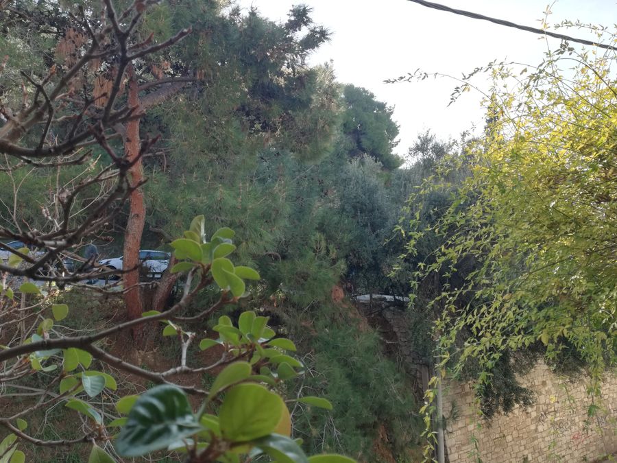 Foto 248626873