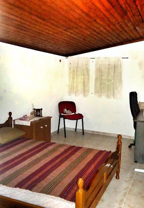 Photo 248640601
