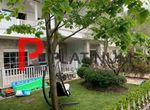 Foto 248734537