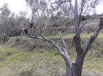 Photo 249443536