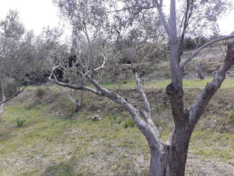 Photo 249443536