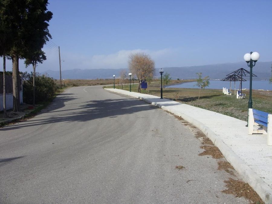 Photo 249466987