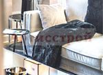 Photo 249496924