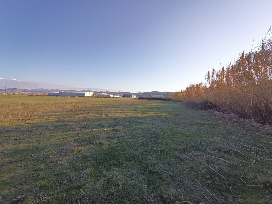 Photo 250306105