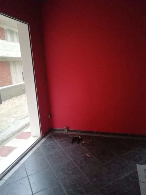 Photo 251093506