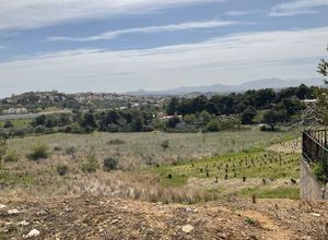 Plot Panorama