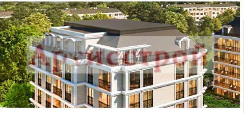 Снимка 251593774