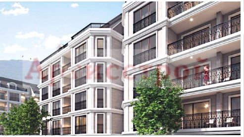 Снимка 251593786