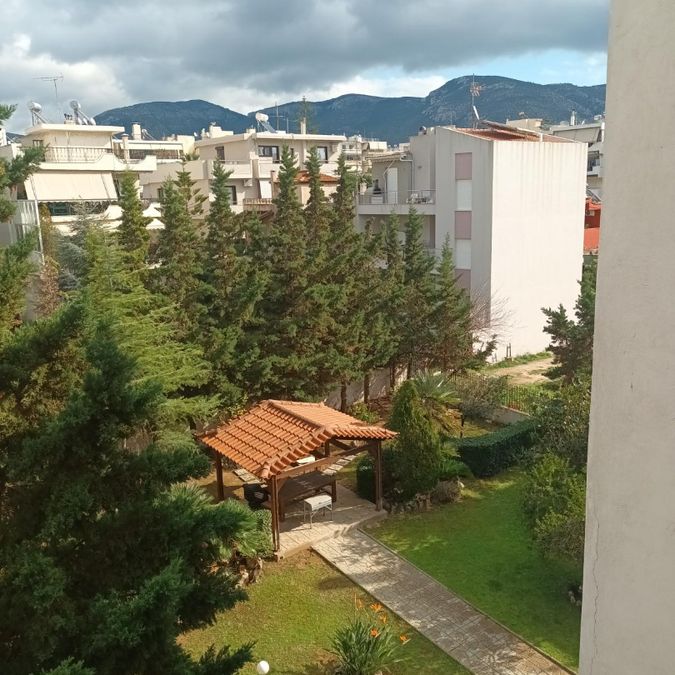 照片 251616829