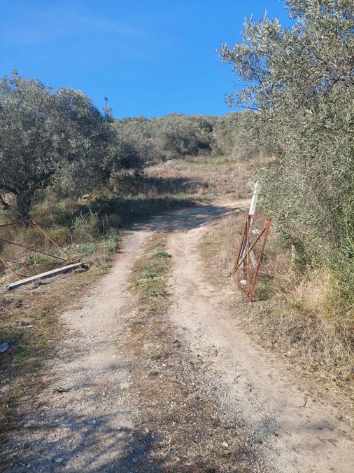 Photo 252816073