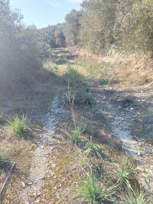 Photo 252838339