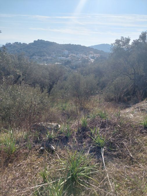 Photo 252838342