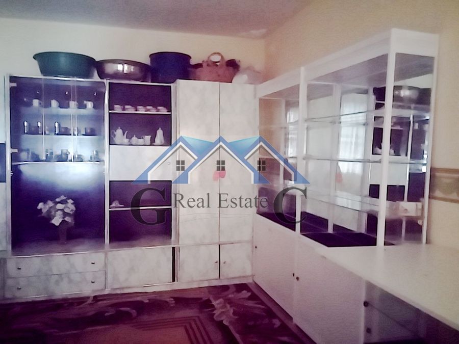 Снимка 253081810