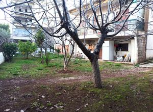 Plot Orio Kifisias