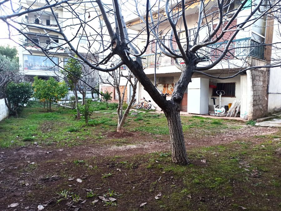Plot Orio Kifisias
