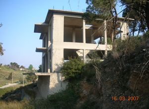 Plot Center