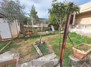 Plot Centre