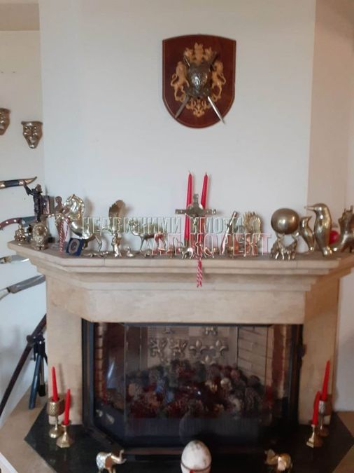 Снимка 255864187