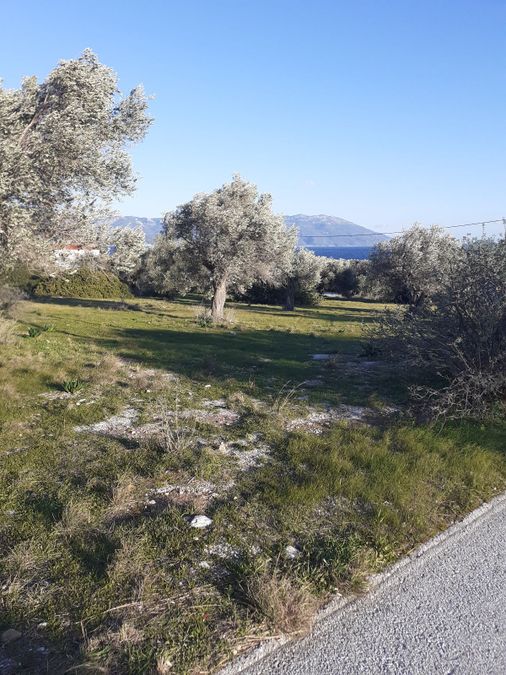 Photo 256182580