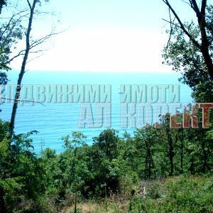 Снимка 257077234