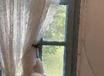 Photo 257505292