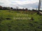 Photo 257688868
