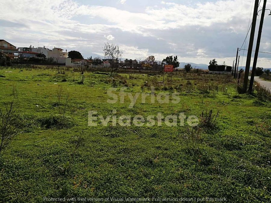 Photo 257688868