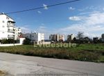 Photo 257688901