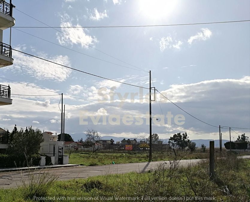 Photo 257688904