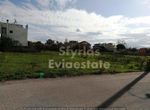 Photo 257688907
