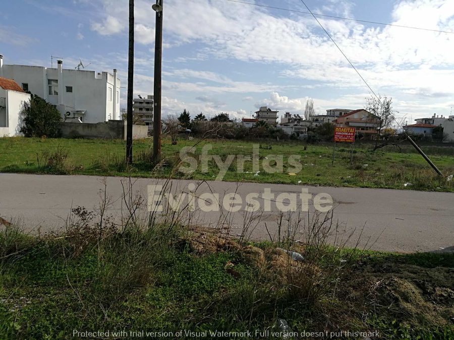 Photo 257688913