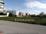Photo 257688919