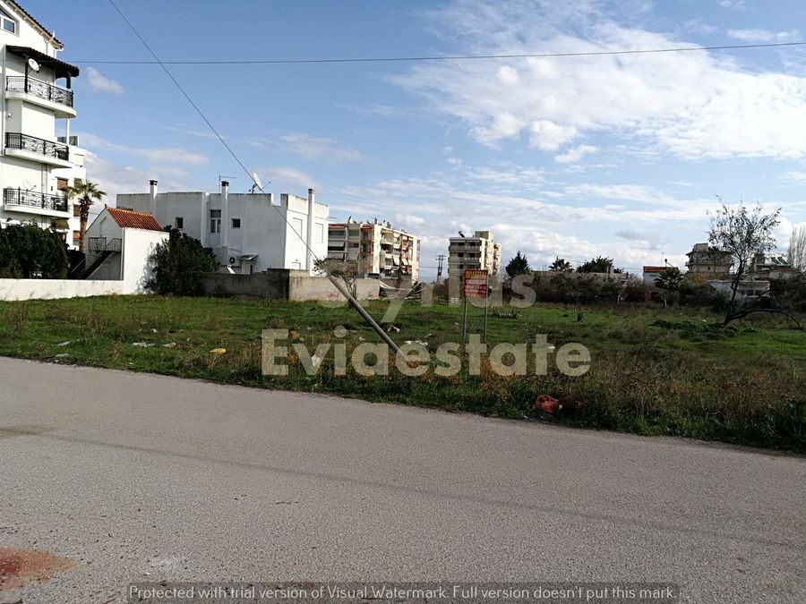 Photo 257688919