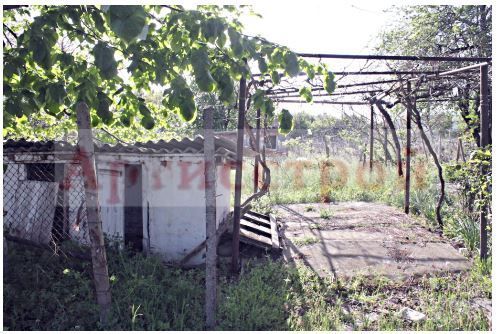 Photo 257843335