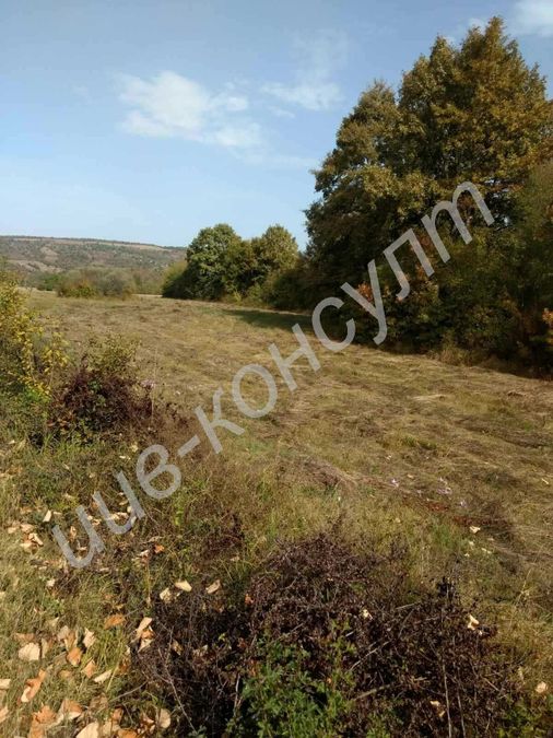 Снимка 259282018